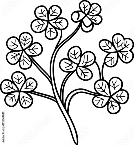 Four leaf clover outline illustration lucky botanical shamrock leaf sketch, irish st patrick's day symbol, black and white