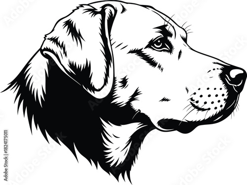 Dog head vector illustration labrador retriever pet animal drawing eps silhouette