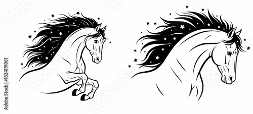 Vector Black and white horse illustrations with flowing manes and stars  