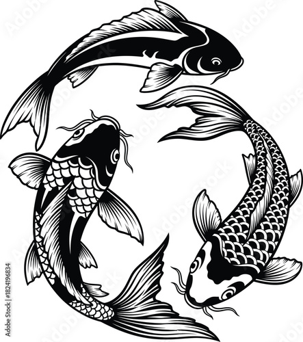 Three koi fish swimming in a circle black and white vector illustration eps silhouette