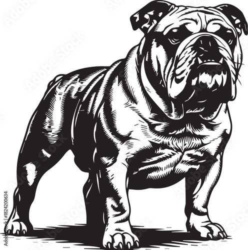 Black and White Illustration of a Strong Bulldog Standing Proudly