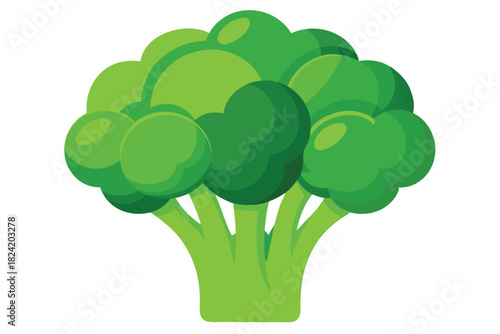 Fresh green broccoli with a unique shape makes for a healthy and vibrant food