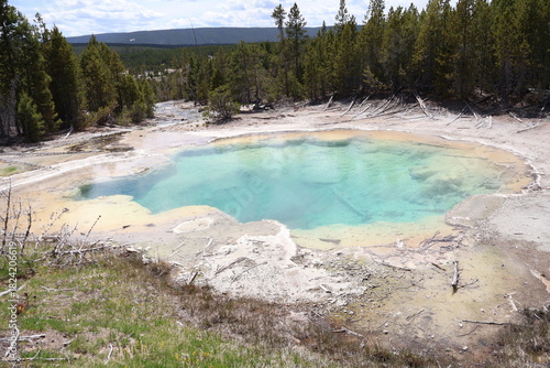 grand prismatic spring yellowstone