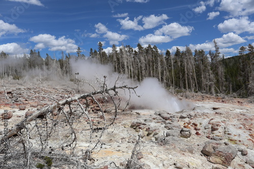 yellowstone national park wyoming usa