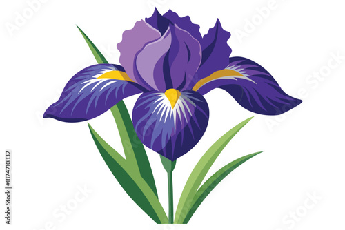 Detailed iris flower blooms, exhibiting vibrant purples, yellows, and greens against a bright background