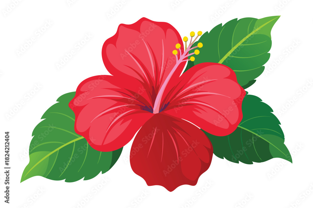 Obraz premium Isolated hibiscus blossom reveals vibrant red petals and rich green leaves in detail