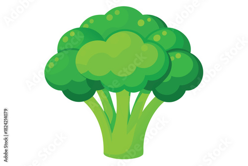 Vibrant green broccoli head with thick stems showcases fresh, healthy produce naturally