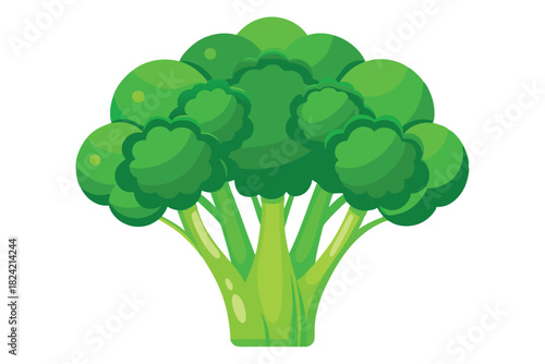 Vivid green broccoli head features clustered florets and thick stems on white background