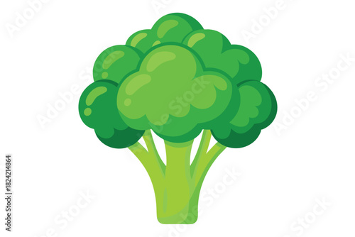 The vibrant green broccoli head shows freshness and is ready for a healthy meal