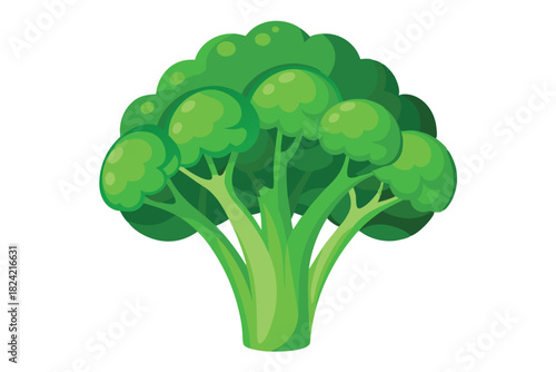 Stylized green broccoli head displays fresh vegetable nutrition in a simple, appealing fashion