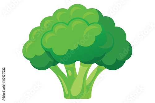 fresh green broccoli head showcases a vibrant, healthy culinary vegetable option