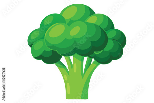 Isolated green broccoli head displays a round, leafy crown with sturdy stalk on the white background