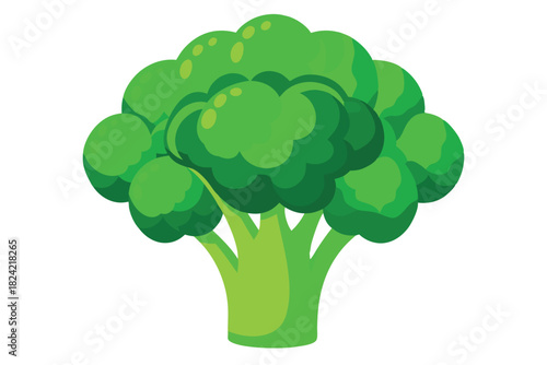 The vibrant green broccoli head shows freshness and healthy eating on a white background