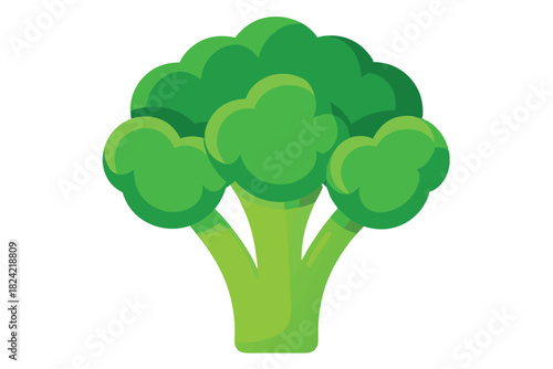 Fresh green broccoli shows simple vegetable art on a pure white background, a clean graphic