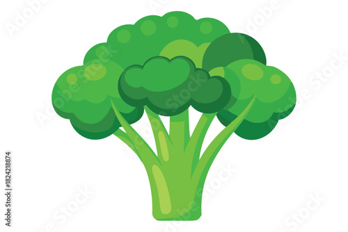 Vibrant green broccoli with a plump head showcases the freshness of natural organic produce