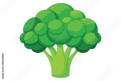 Fresh green broccoli floret with a thick stem stands out beautifully against white