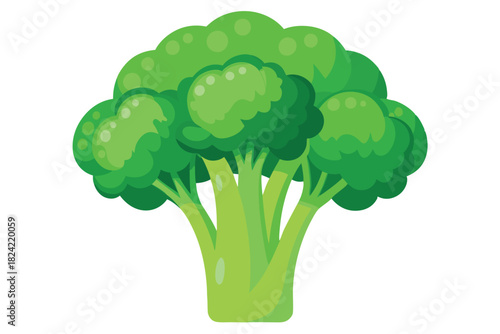 Fresh green broccoli florets form a vibrant cartoon vegetable on the white background
