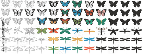 Butterfly and dragonfly illustration collection, colorful and silhouette insect designs, detailed wing patterns for nature artwork, decorative vector elements