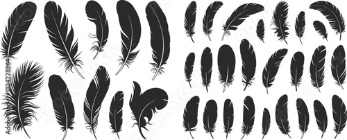 Feather silhouette collection featuring detailed bird feathers, natural decorative elements for design, boho rustic artwork set for creative projects