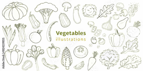 Hand drawn vegetables illustration set on white background healthy eating
