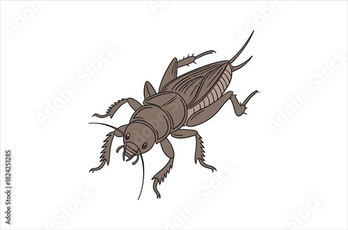 Cricket clip art preview