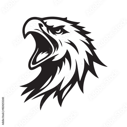 eagle head vector illustration