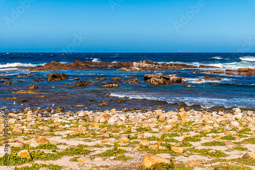 A view of the rocky coastline and rough seas at the Cape of Good Hope, South Africa in springtime
