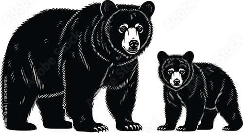 Highly detailed black vector illustration of a North American black bear sow and her cute cub standing together, representing wildlife, wilderness, family bond, and nature protection illustration