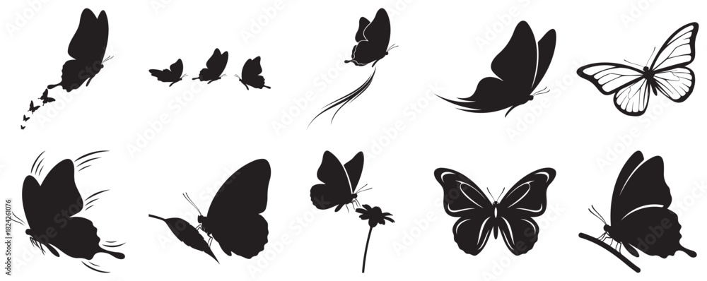 Naklejka premium Web