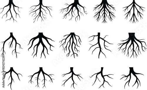 Black Silhouettes of Tree Roots in Grid Layout plant nature