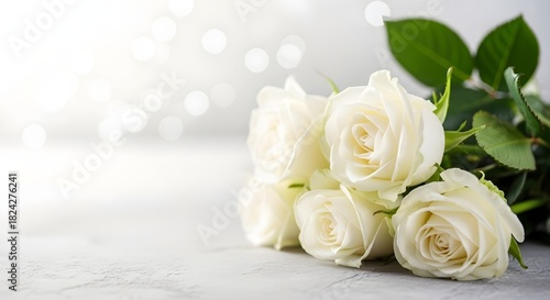 Elegant white roses on gray background with bokeh lights