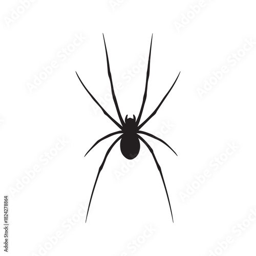 Spider silhouette vector illustration. Top view of a black arachnid isolated on a white background.