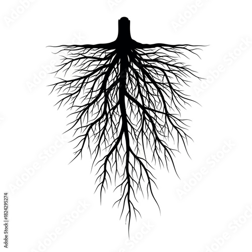 Black silhouette of a tree root system on a white background.