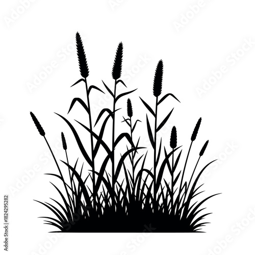 Black silhouette of tall grass with seed heads.