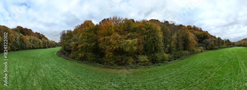 paysage d'automne en Lorraine, avec des forêts aux arbres multicolores jaunes oranges et la prairie bien verte.  Courbes et dessins de la nature