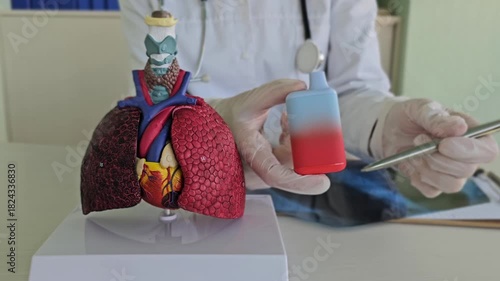 A doctor holds vaping cigarettes and performs a lung anatomy examination. The consequences of vaping. The harm of e-cigarettes and their impact on the human