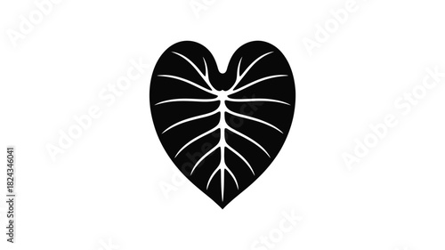 Black silhouette of a large heart shaped tropical elephant ear leaf with prominent veins