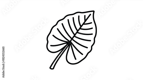 Simple hand drawn outline of a large tropical elephant ear leaf with stem