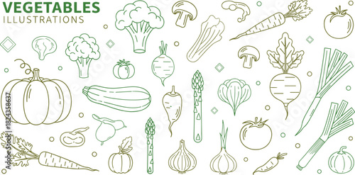 Vegetable line drawings, healthy food icons, organic produce sketch, culinary design elements, farm fresh illustration, flat vector illustration