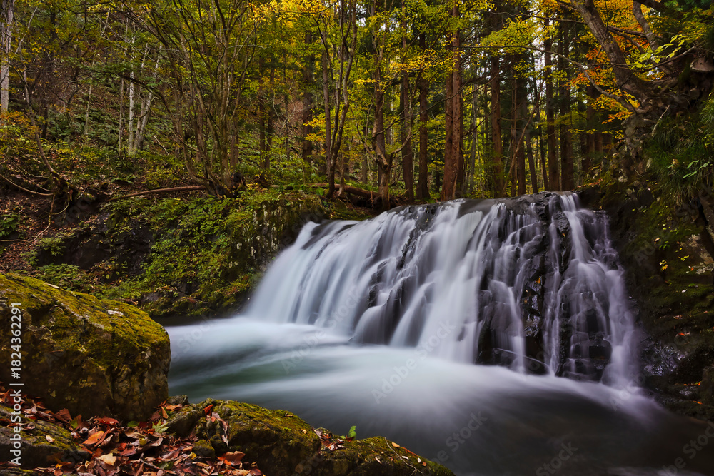 Obraz premium Wide Powerful Cascade and Autumn Foliage in Deep Forest, Minamiaizu, Fukushima, Japan.