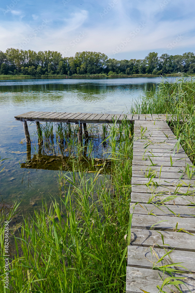 Fototapeta premium Holzsteg an einem Badesee, Brandenburg, Deutschland