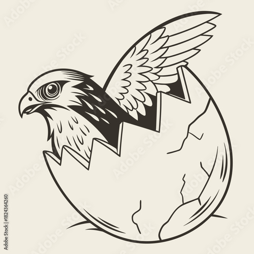Emerging falcon hatchling breaking free from cracked eggshell