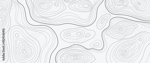 Topographic contour line vector background with abstract black flowing curves on white — minimal modern design for wallpaper, packaging and creative decoration