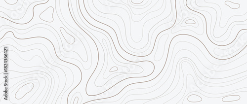 Topographic contour line vector background with abstract black flowing curves on white — minimal modern design for wallpaper, packaging and creative decoration