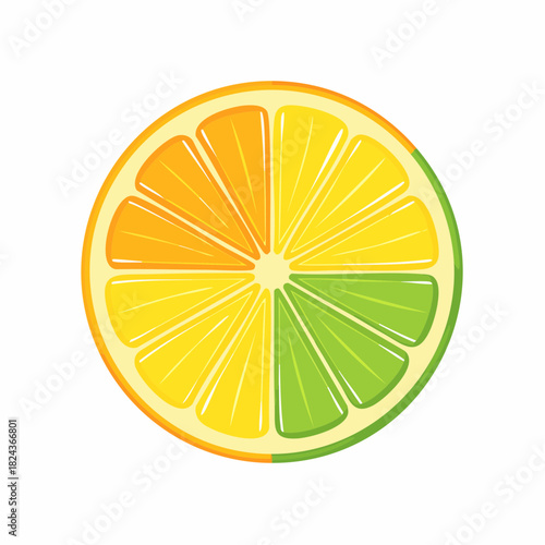 Vibrant Vector Illustration of Round Citrus Slices Featuring Orange, Lemon, and Lime