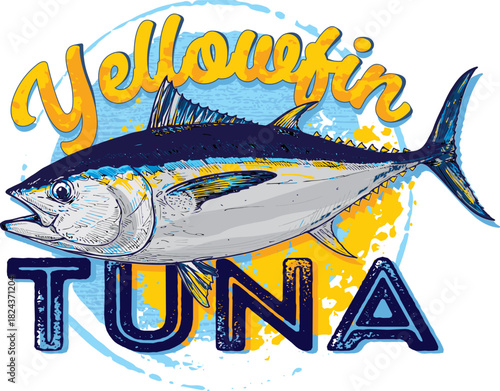 Yellowfin tuna vector illustration