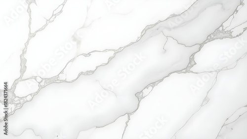 Premium White Marble Stone Background