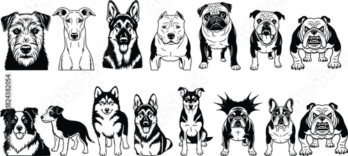 Diverse Breeds, Including Bulldog, German Shepherd, Pug, Husky, and Terrier, for Pet-Themed Designs.