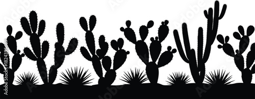 Cactus silhouette, desert plants, black illustration, nature scene, arid flora, spiky leaves, botanical design, dry landscape, minimal art, outdoors