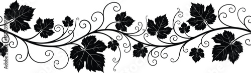 Elegant, decorative, black, vine, silhouette, swirling, tendrils, grapevine, leaves, symmetrical, stylized, nature, art, flourish, botanical, design, vintage, scrollwork, ornamental, vector